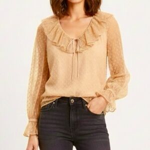 J. Crew Top Clip Dot Ruffle Mesh Long Sleeve Clay Bronze Tan M Elegant Preppy